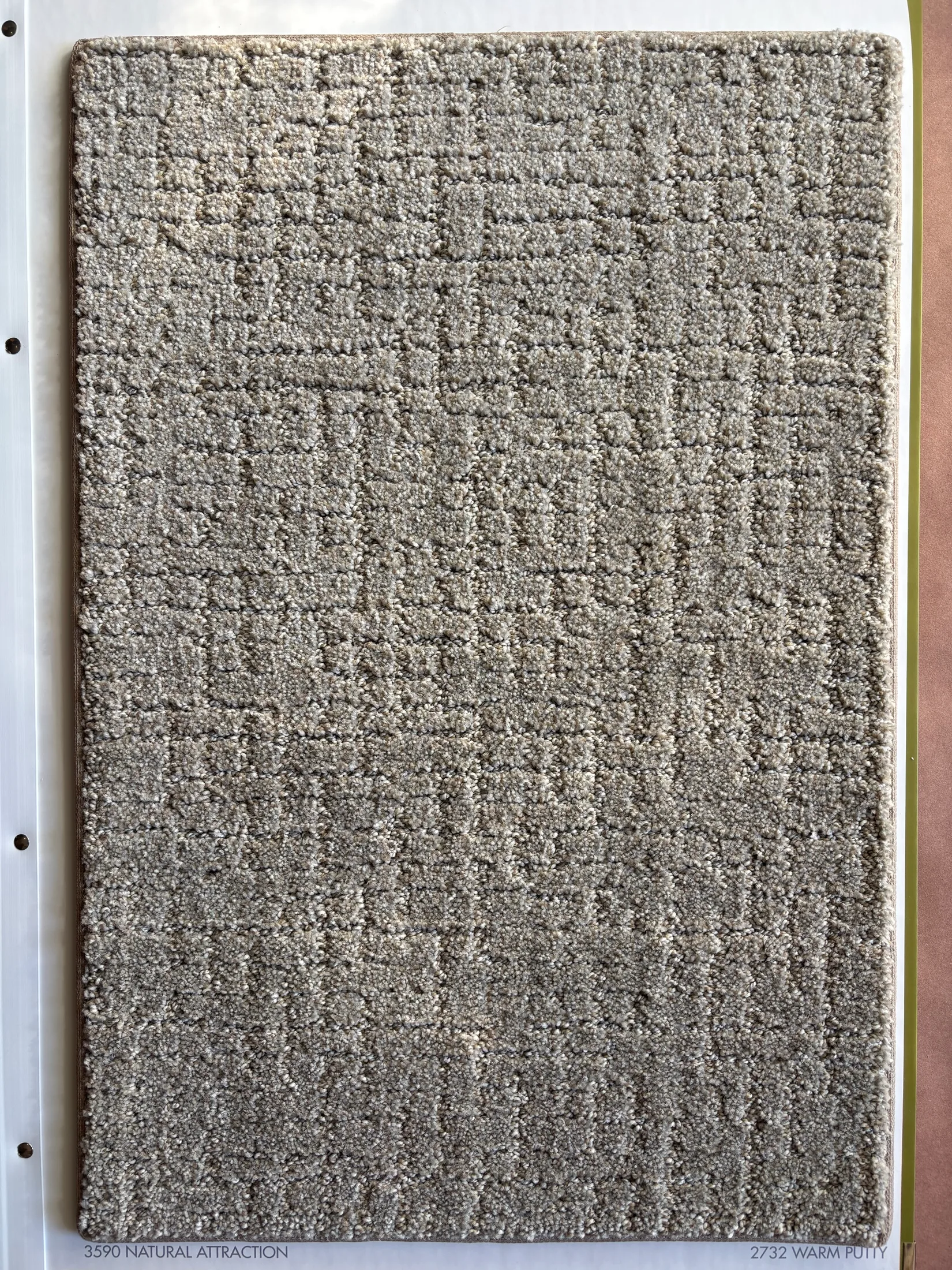 Natural Attraction carpet texture in Warm Putty