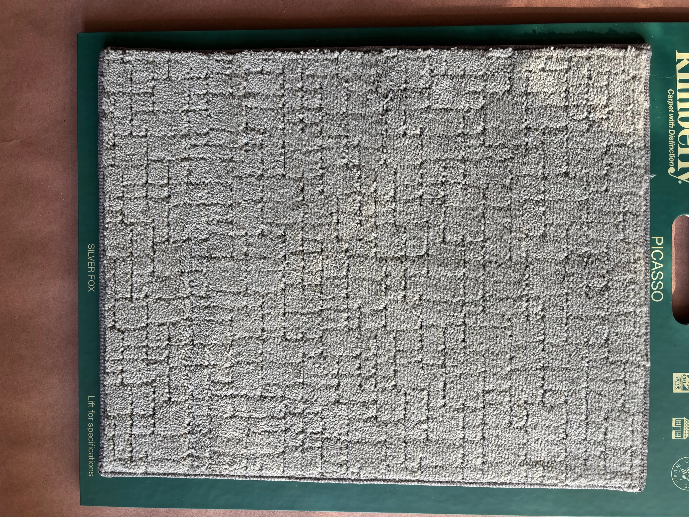 Picasso carpet texture in Silver Fox